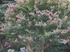 -太子山公园(园东路)
