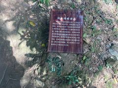 -西双版纳基诺山寨