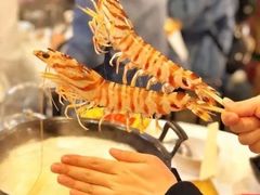 -鲜入围煮花胶鸡海鲜火锅