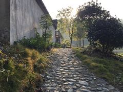 -塔川景区