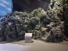 -房山世界地质公园博物馆