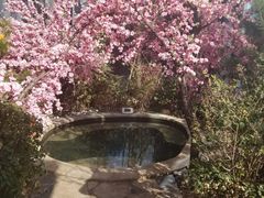 -悦隆庄温泉度假酒店