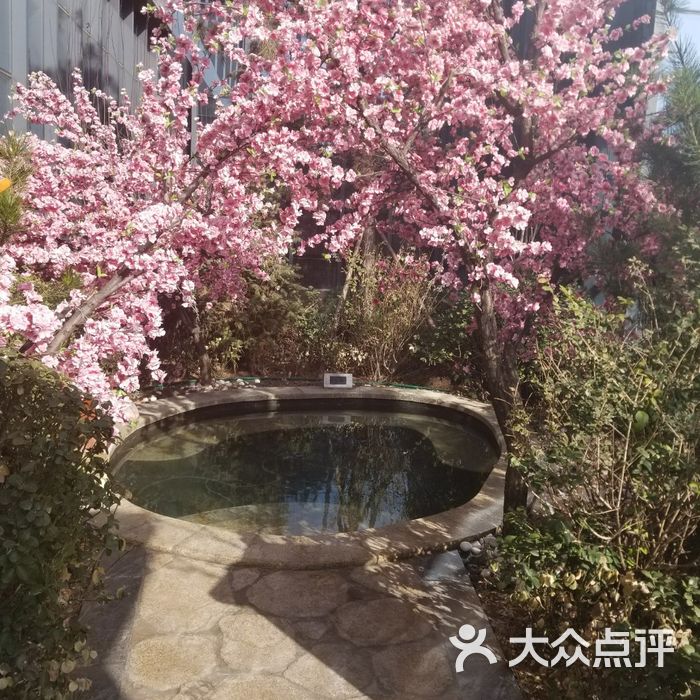 悦隆庄温泉度假酒店图片