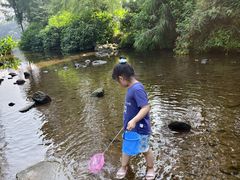 -重庆彩云湖湿地公园