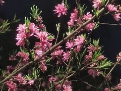 -重庆彩云湖湿地公园