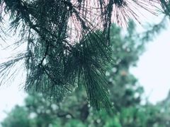 -颐和园