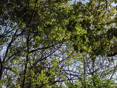 -杭州半山国家森林公园