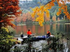 -重庆彩云湖湿地公园