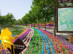 -武清南湖绿博园