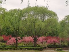 -北坞公园