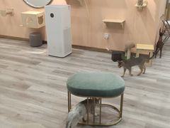 -BABIT巴比特宠物(MOMOPARK店)