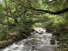 -广州市石门国家森林公园