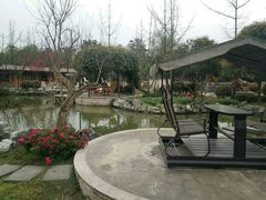 -洪湖家庭农场·团建·露营·会议