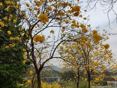 -中国移动南方基地