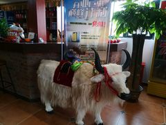 -后院犇牛主题餐厅(云岗店)