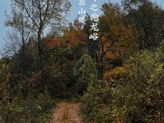 -抱龙峪