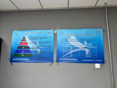 -北京阳铭国际击剑俱乐部