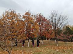 -北京园博大酒店