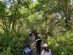 -九曲溪竹筏码头