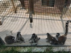 -石家庄市动物园