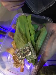 -未来动物城动物主题公园(大悦城店)
