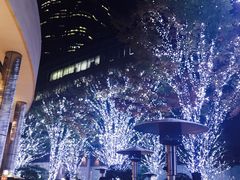 -STARBUCKS COFFEE(Roppongi Keyakizaka-dori)