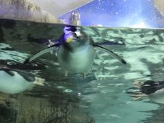 -成都浩海立方海洋公园