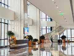 -Jungle Nat 高空餐厅