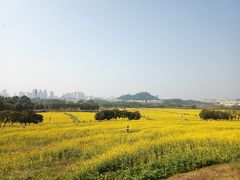 -光明小镇欢乐田园