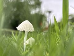 -杭州城北体育公园