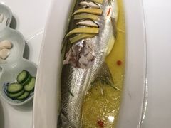 黄河大鲤鱼-宁夏国强手抓羊肉·清真菜(未央路凤三店)