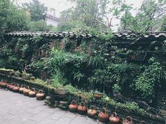 -青城甲(青城山店)