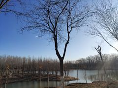 -东郊湿地公园