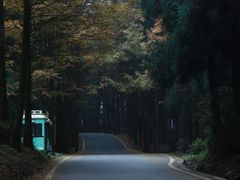 -山王坪喀斯特国家生态公园