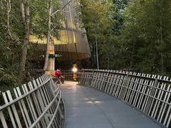 -福道