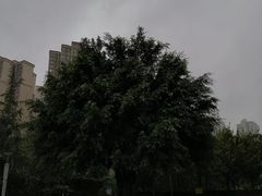 -龙头寺公园