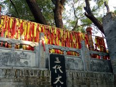 -大槐树寻根祭祖园