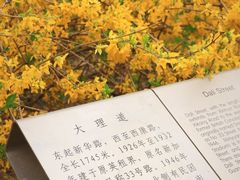 -天津五大道文化旅游区