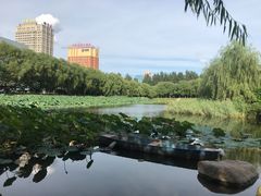 -吉林大学(前卫南区)