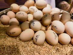 -田小狗的饭店(碧桂园店)