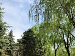 -西安汉城湖景区