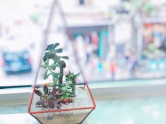 -蝶舍·MAISON PAPILLON