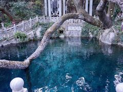 -蝴蝶泉公园