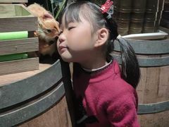 -杭州开元森泊度假乐园