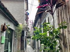 -小洲村