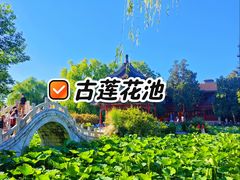 -莲池书院博物馆