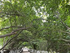 -烟台山景区