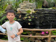 -国家植物园南园