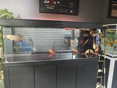-苏州艺都古玩花鸟市场