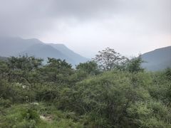 -白草畔自然风景区